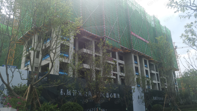 五矿西棠