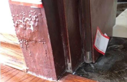 保利領秀前城精裝房質量堪憂 業主維權不斷(組圖)